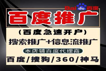 案例分析：百度广告竞价助力电商企业提升销售额
