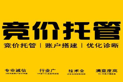 百度推广代运营公司成功案例解析